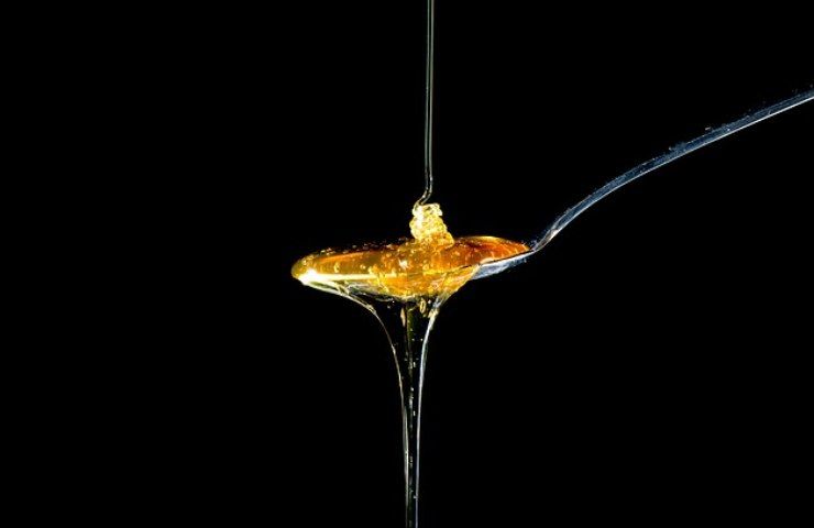 Come si produce il miele 