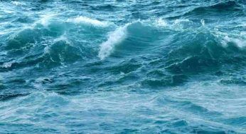 Nazioni Unite, traguardo storico: approvato il Trattato per la tutela degli oceani