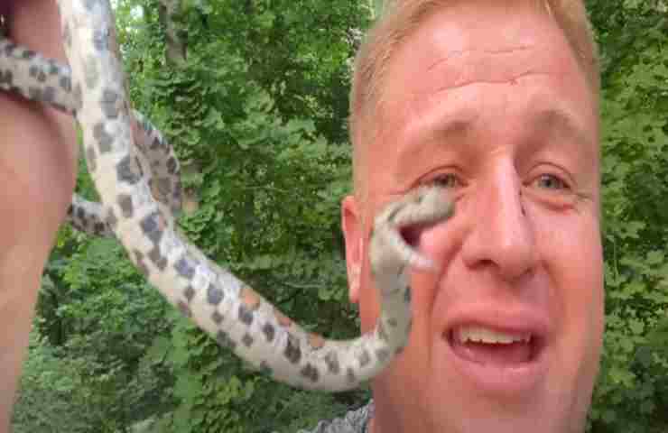 Jesse Rothacker Si fa mordere 50 volte da un serpente, ma non gli succede nulla: