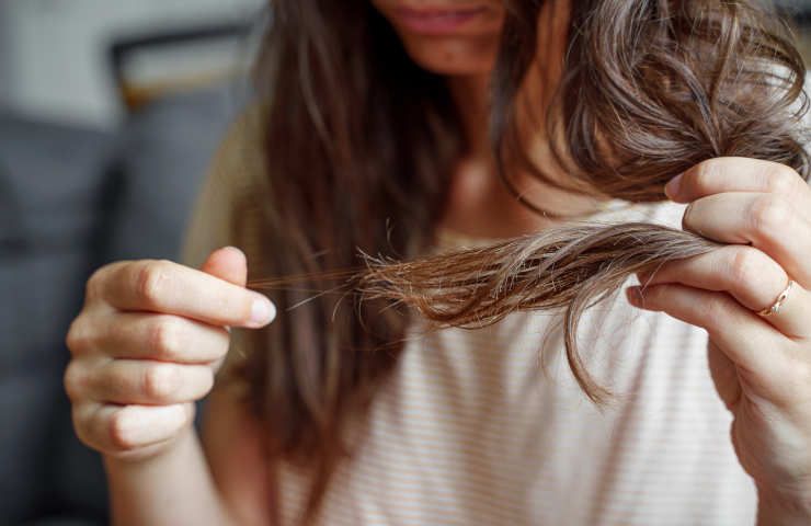 Capelli caduti buttare raccolta organico materiale biodegradabile