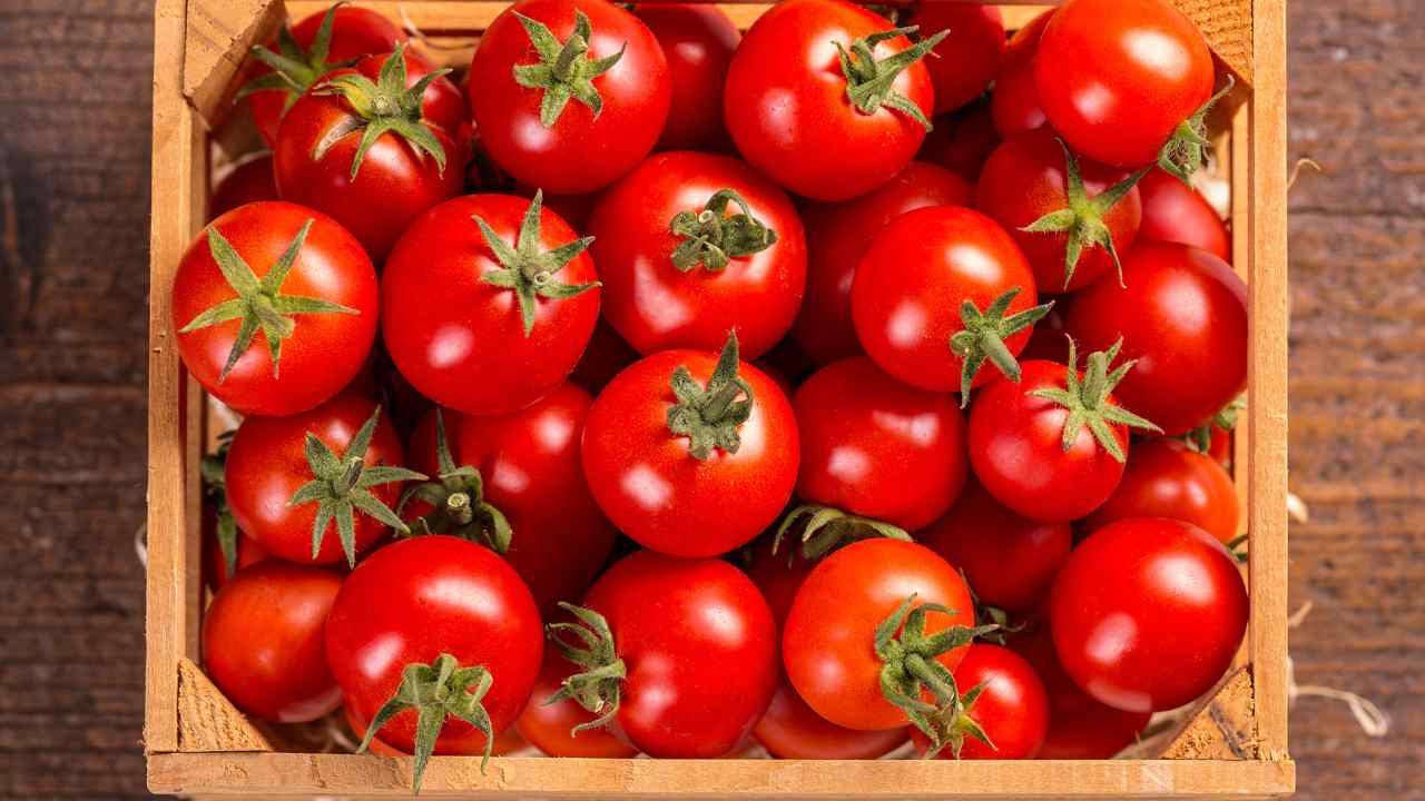 Pomodori storia curiosità