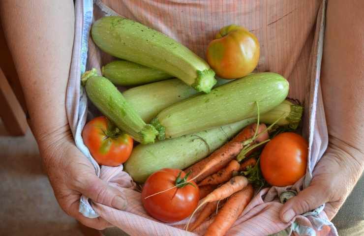 Come coltivare zucchine trucco contadini riso