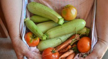 Zucchine, aumenta la quantità nel tuo orto: i contadini svelano come