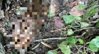 Sconvolgente ritrovamento in giardino, lo scheletro non lascia dubbi: è proprio lui…
