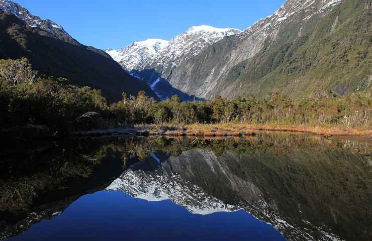 Esperto biodiversità offerta lavoro Nuova Zelanda salvaguardia ecosistemi