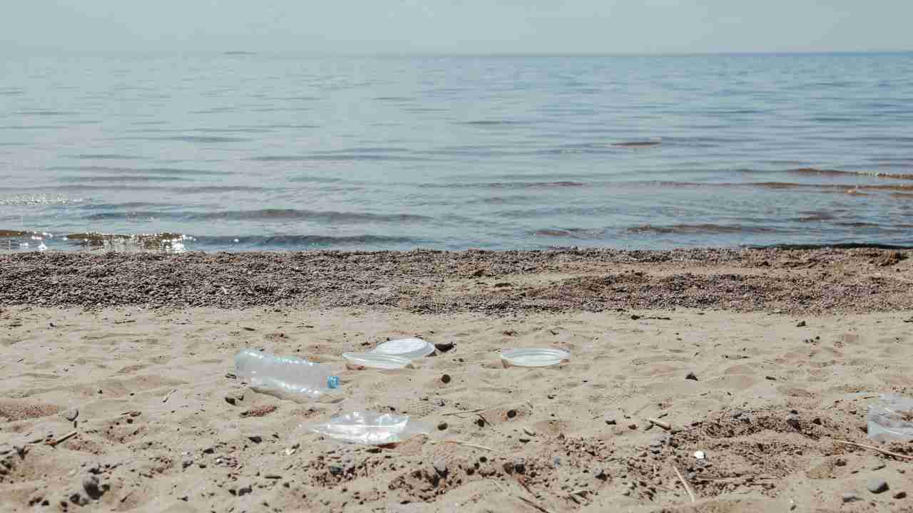 spiaggia sporca