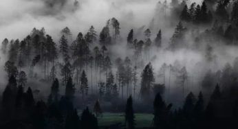 Tempesta Vaia in Italia dell’Ottobre-Novembre 2018