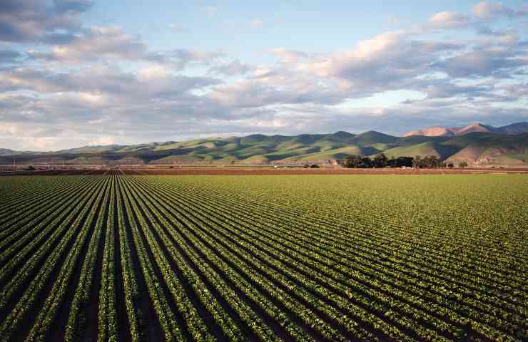 Terreno agricolo: chi non paga l'IUMI 