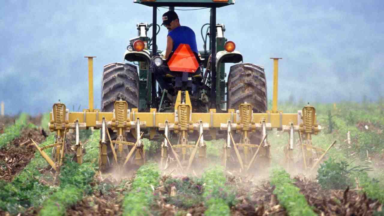 agricoltura INPS domanda discoccupazione