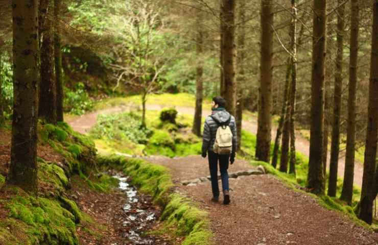 Grotte Gialle Bibbona percorso trekking bosco semplice ogni età