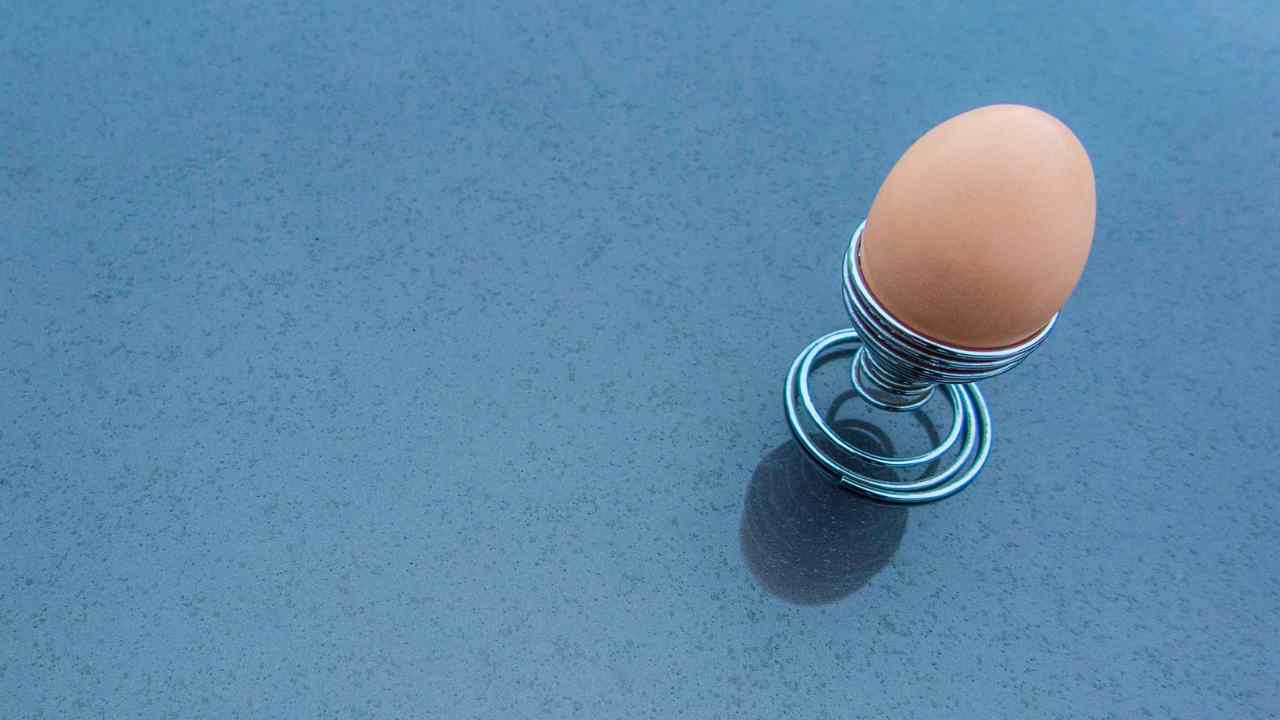 Prima uovo gallina studio