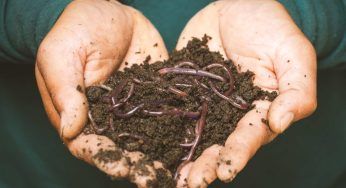 La bimba ne ha le tasche piene: vuole salvarli dalla pioggia! – VIDEO