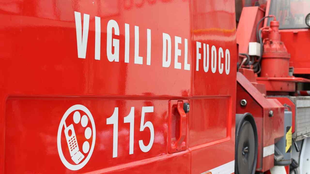 Salvataggio cani vigili del fuoco Macerata