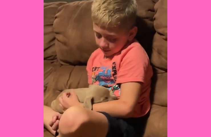 bambino piange perchè riceve un cane