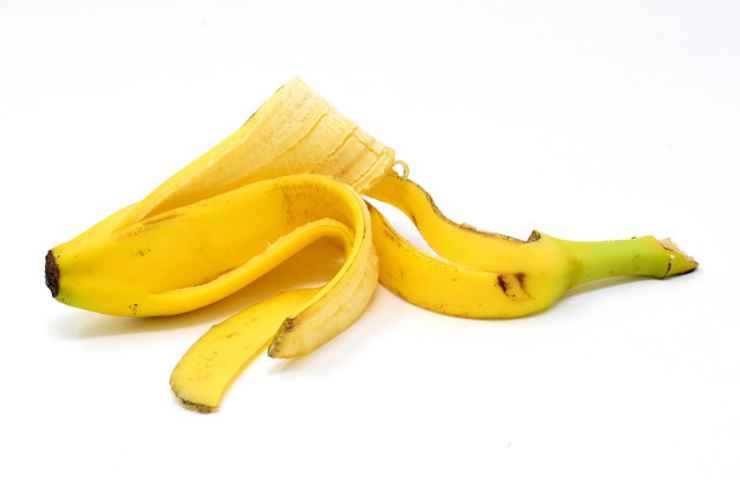 creare fertilizzante buccia banana