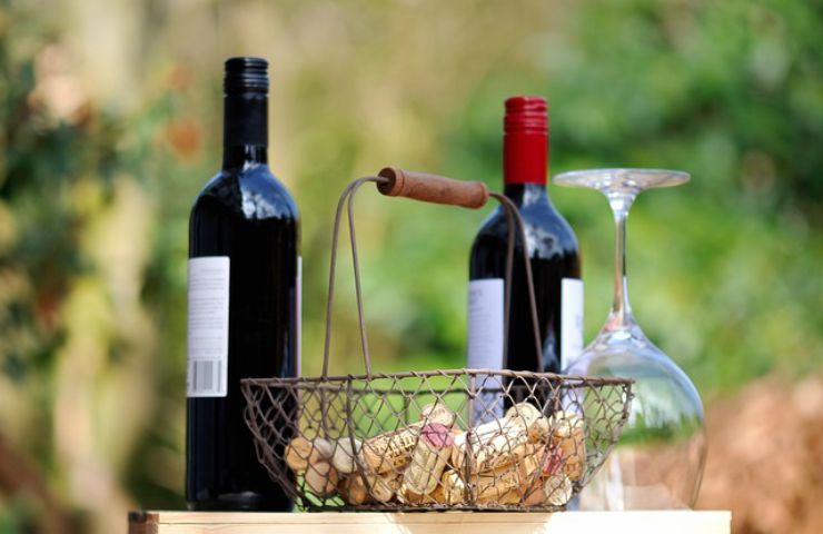 come usare vino in giardino