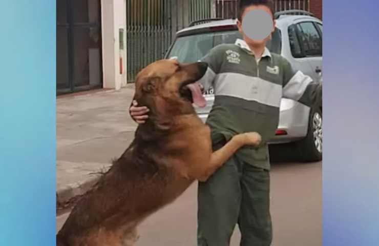 cane torna a casa dopo mesi