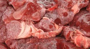 Carne congelata: come e per quanto tempo tenerla nel freezer
