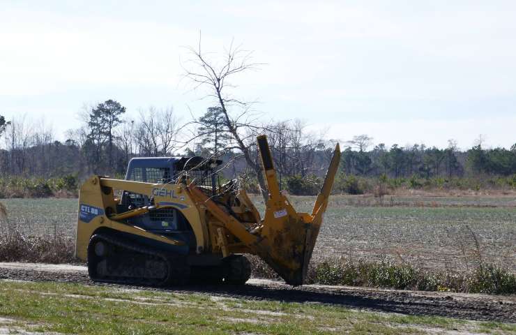 dutchman tree spade macchinario salva alberi