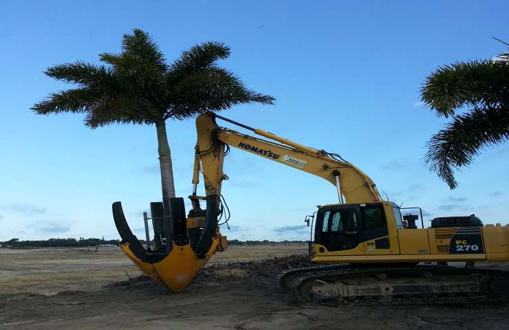 escavatrice quattro lame per salvare albero