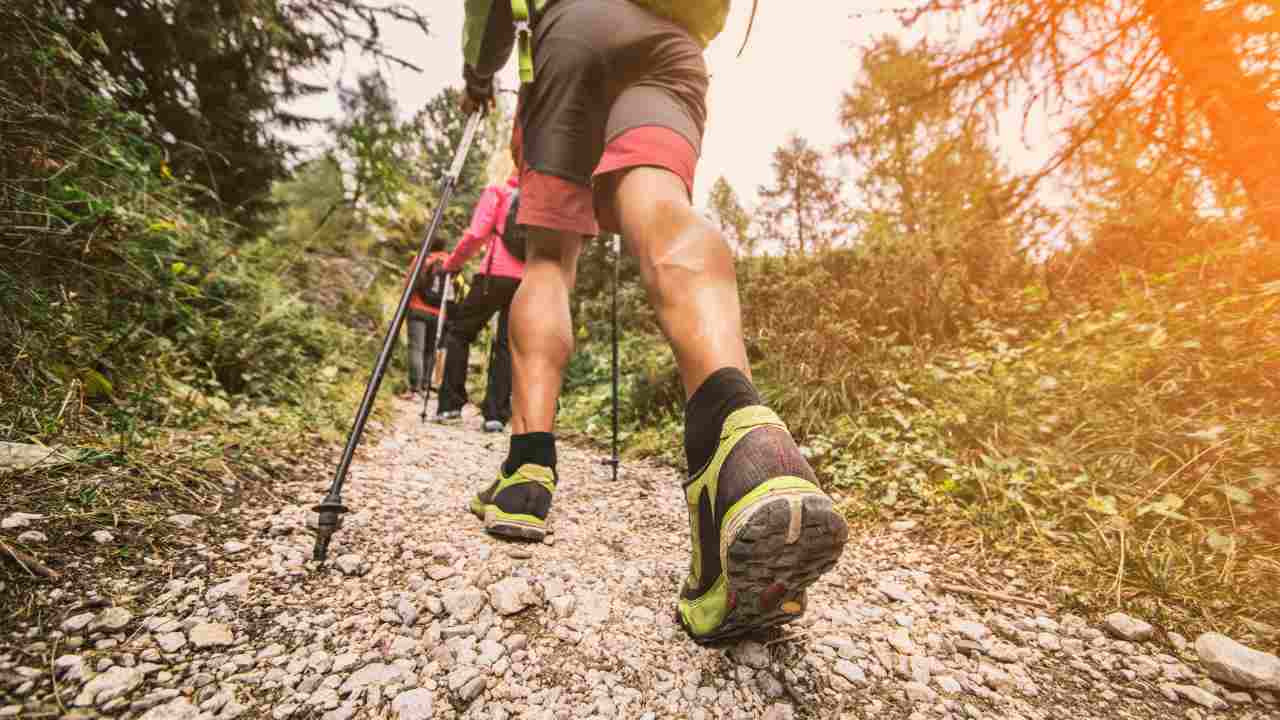 If you go hiking and hear a man whistling, pay attention: it could be an animal