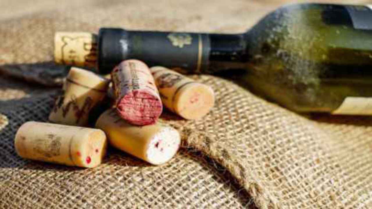 bottiglia di vino contro insetti
