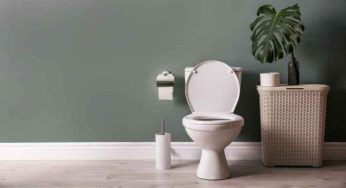 WC più bianco che mai: tutti i segreti per non rinunciarvi
