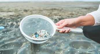 In vista della giornata dell’ambiente si chiede più protezione del Mediterraneo