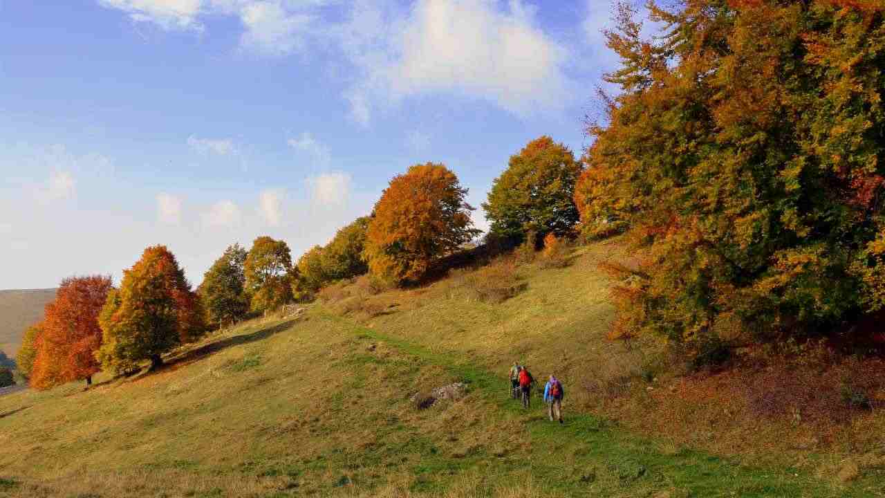 versi degli animali pericolosi in montagna