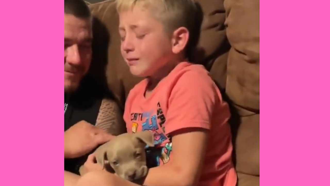 bambino piange per il cucciolo