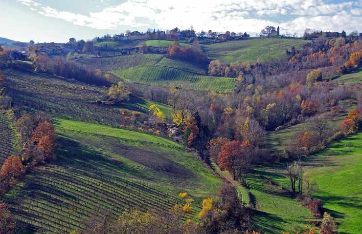 orti urbani parma