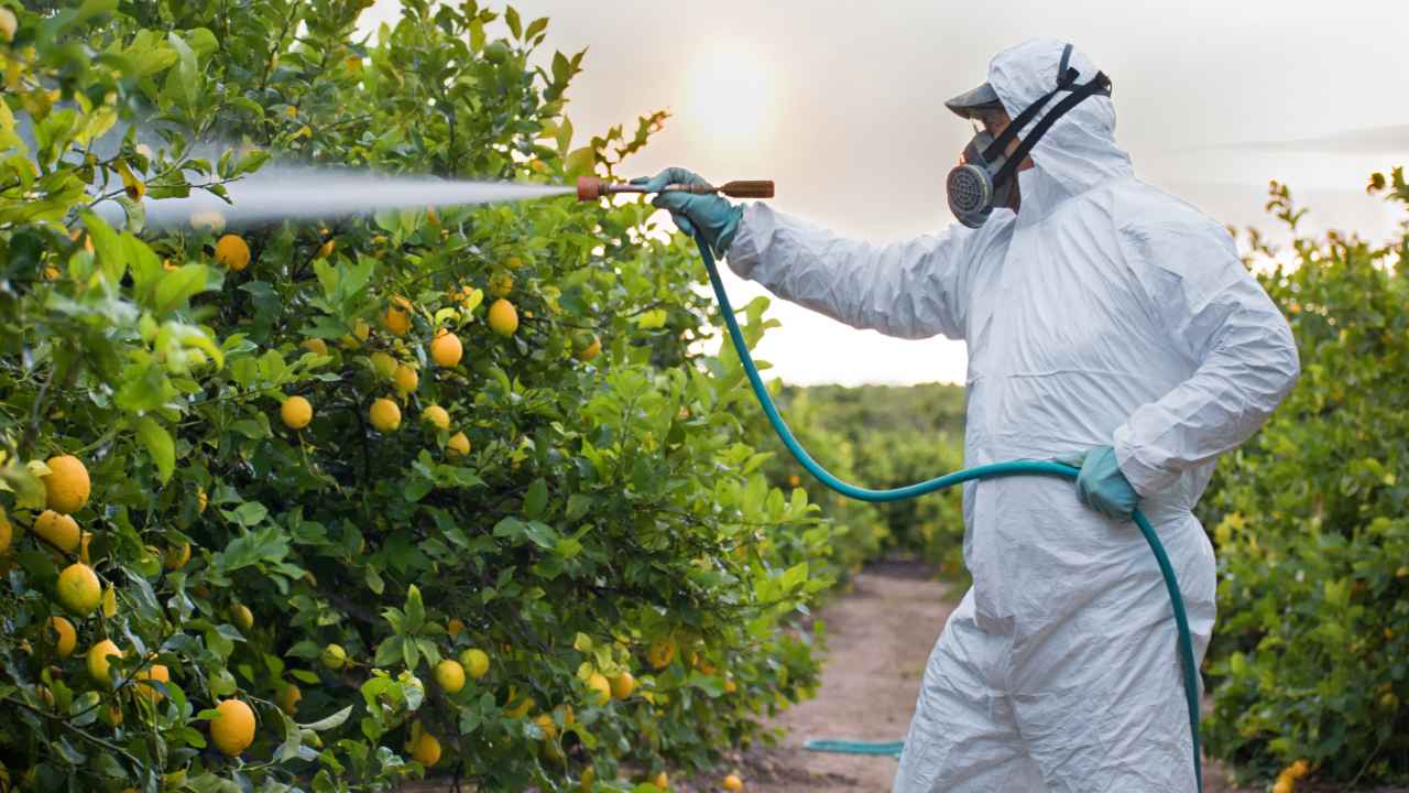 pesticidi sempre più presenti coltivazione intensiva