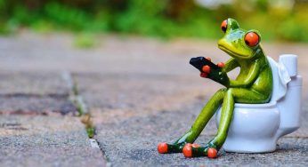 Parco a tema francese raccoglie l’urina dei visitatori: lo scopo