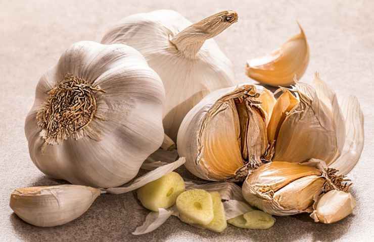 aglio contro lucertole