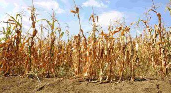 Impianti solari galleggianti in Italia: le novità nel decreto siccità