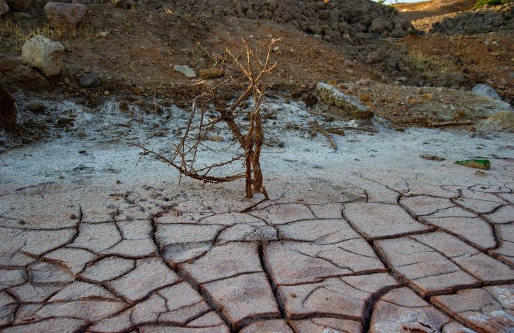 desertificazione definizione