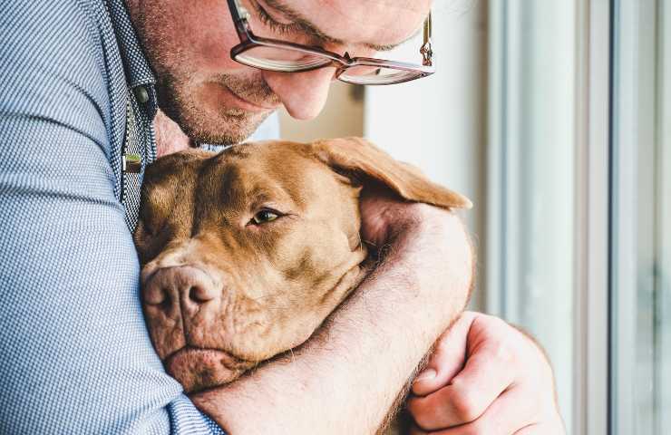 perchè fa bene avere un cane