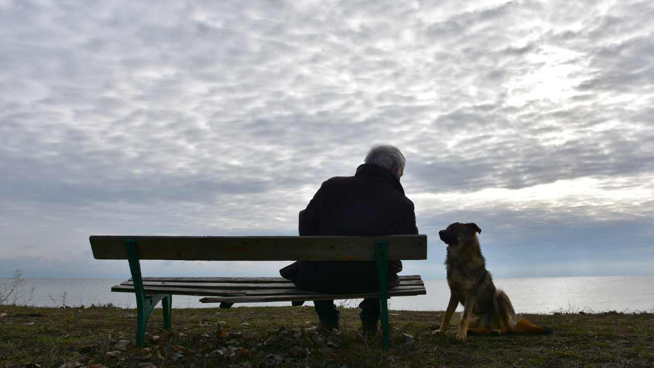 uomo anziano scrive ai proprietari dei cani che ha curato