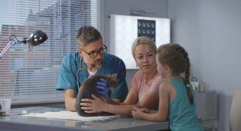 IA aiuterà a capire come si sente il tuo gatto: questa l’app