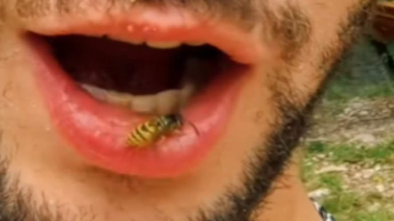 Entra un'ape in bocca e lui reagisce così