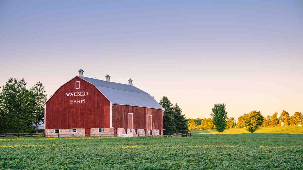 Domande incentivi parco agrisolare aziende agricole settembre 2023
