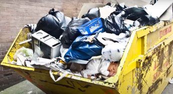 Una mamma getta il figlio nel cassonetto: poi arriva l’orsa…