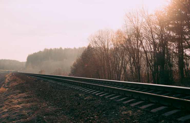 Cosenza disastro ferroviario morti 1981