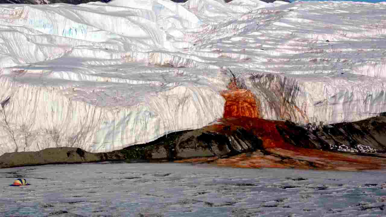 Antartide e cascate di sangue: sono le Blood Falls