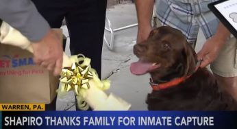 Pennsylvania: premiato il cane eroe che ha fermato un detenuto in fuga