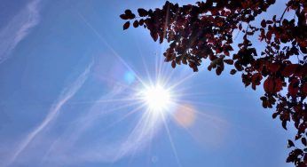 I primi giorni di luglio i più caldi: attivato il numero per gli anziani