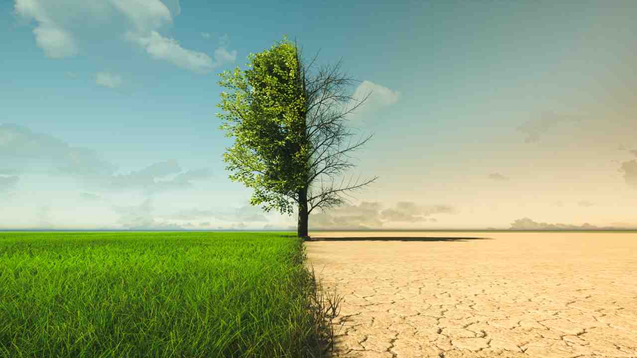 Come fermare cambiamento climatico transizione green
