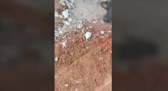 Non ha più forze e il suo sguardo ormai è privo di speranza: corsa contro il tempo per lui