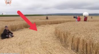 Se non fosse stato filmato nessuno ci avrebbe creduto: scoperto nel campo