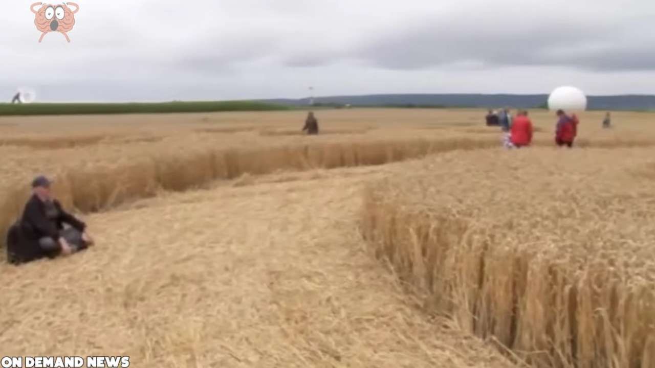 Riprese drone cerchio grano Germania